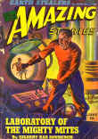 amaz_4306.jpg (52029 octets)